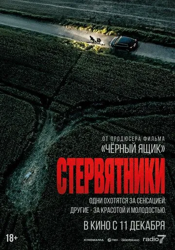 Постер Стервятники