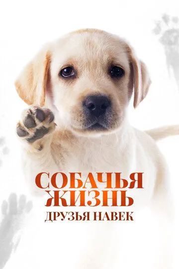 Постер Собачья жизнь: Друзья навек